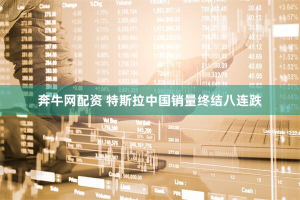 奔牛网配资 特斯拉中国销量终结八连跌