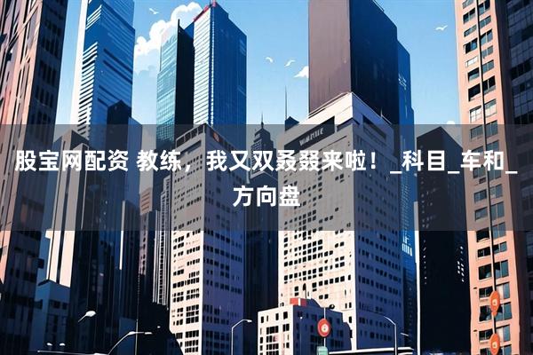 股宝网配资 教练，我又双叒叕来啦！_科目_车和_方向盘
